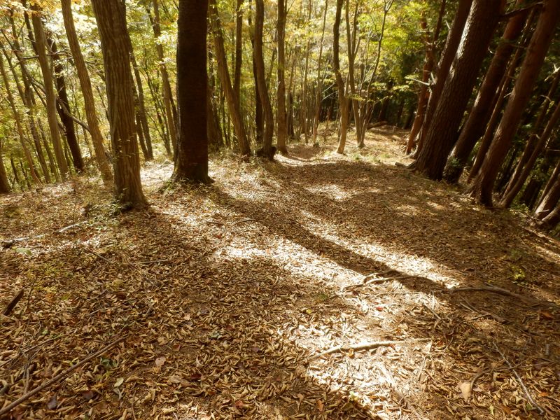 入道丸西峰から、さらに西へ