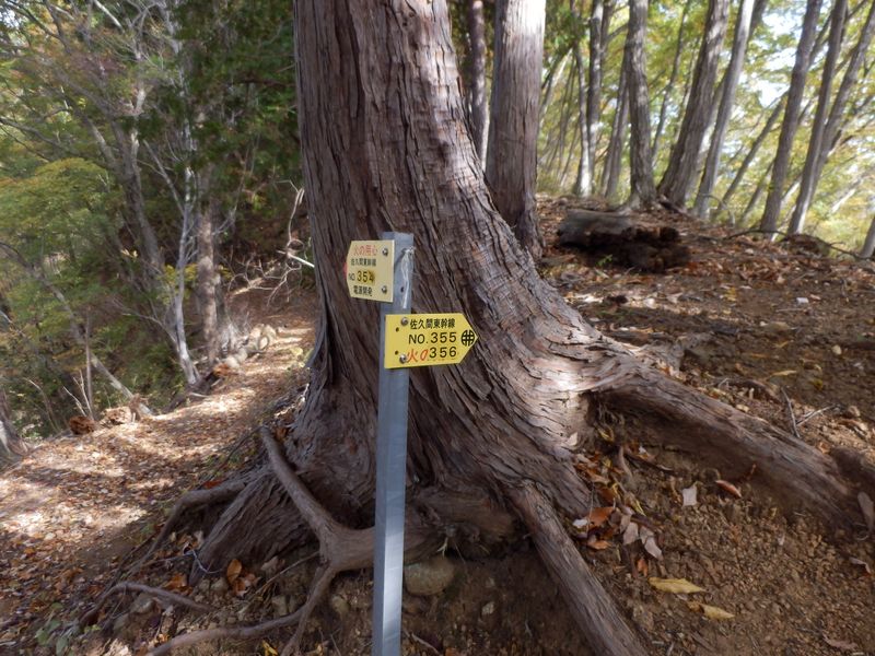 ここで折り返す