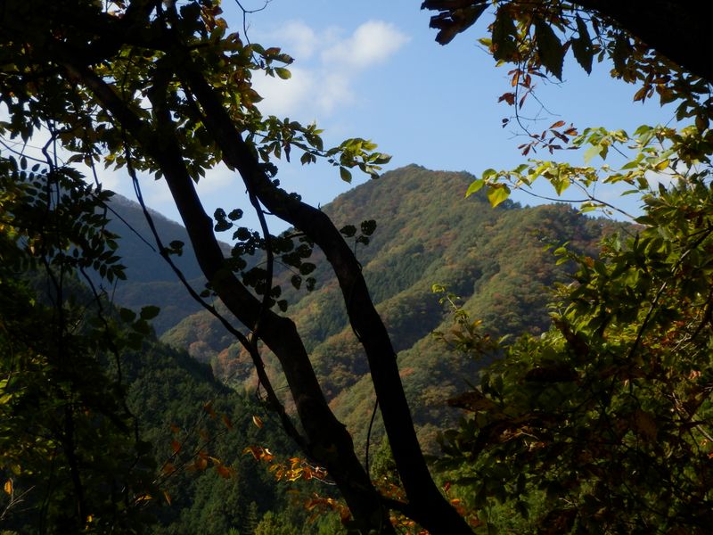 井戸沢ノ頭かな？