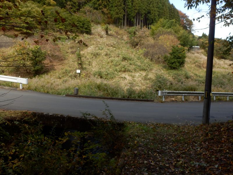 安寺沢沿いの車道
