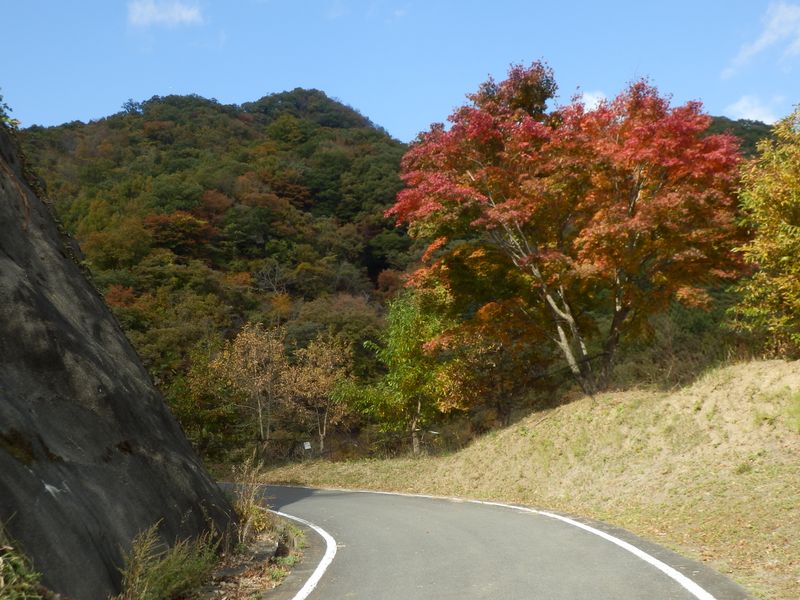 どの峰が阿夫利山かな？