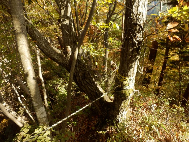 最初のピークの下り