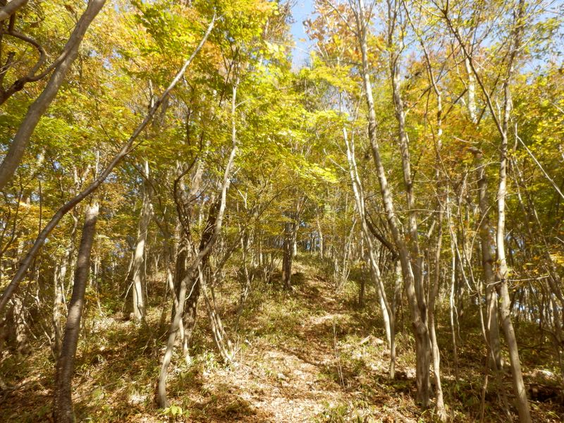 高見山への登り