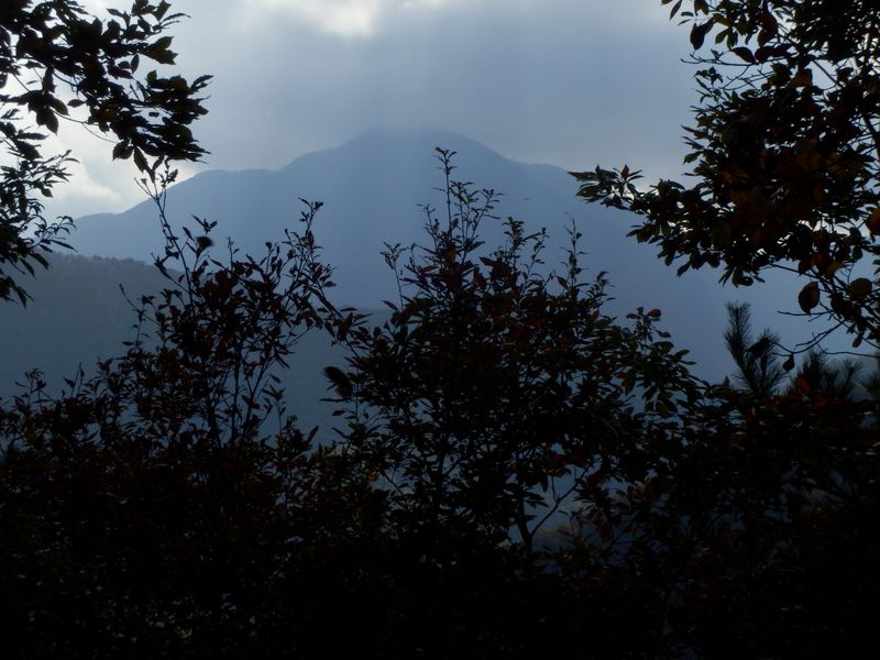 阿夫利山より、大室山