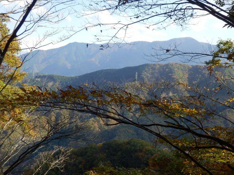 東海自然歩道稜線