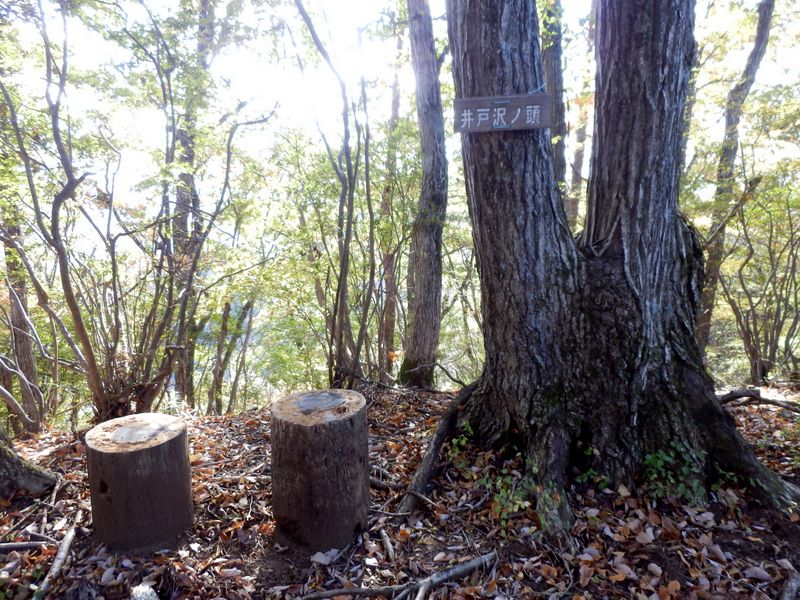 富岡へは、3本のルート