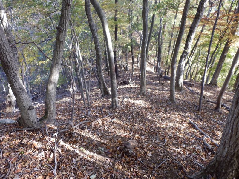 急な下りが続く