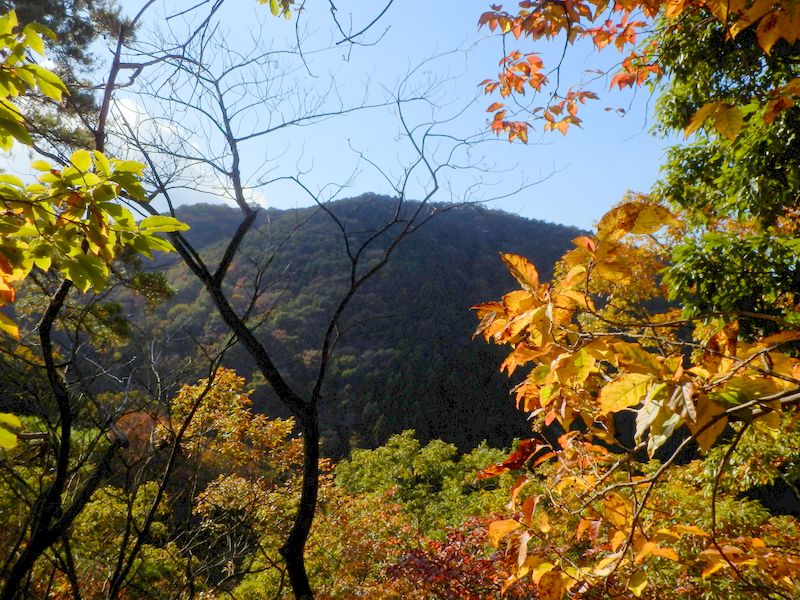井戸沢ノ頭を振り返る