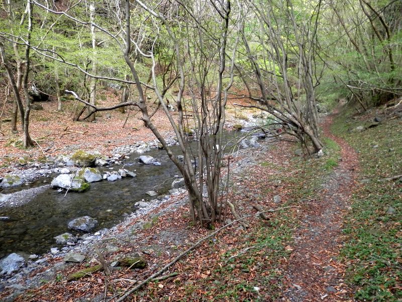 沢沿いの小路