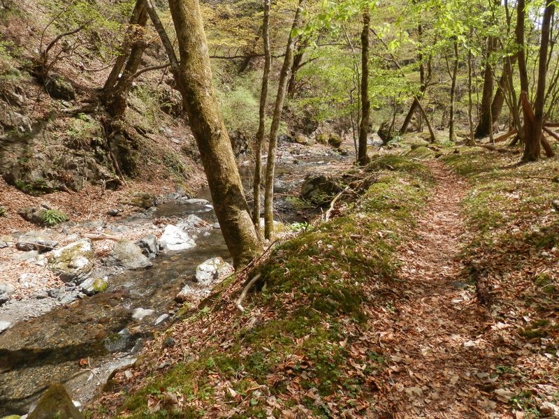 気持ちのよい道