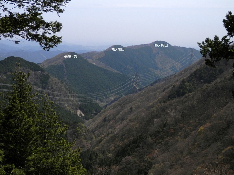 踊平より、都県境尾根の峰々を望む