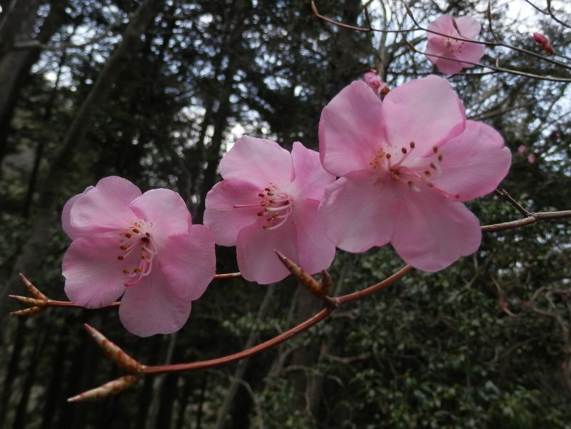 やっと手の届く距離に見つけた
