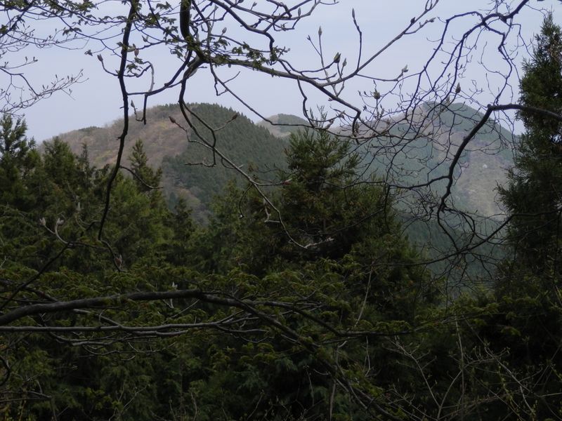 行く手の長尾丸山と棒ノ折山を望む