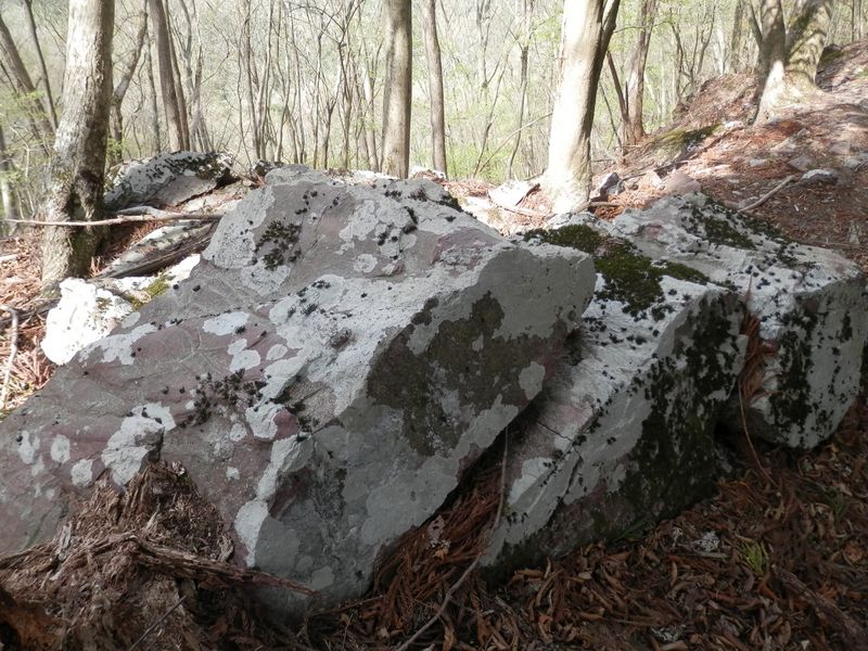 赤味を帯びた部分を持つ岩