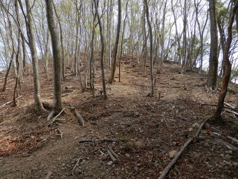 行く手にトラロープが見える