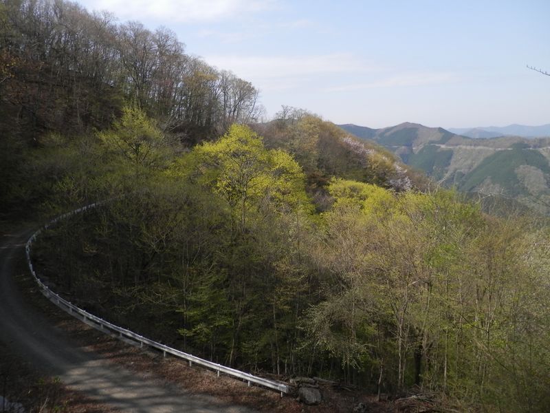 有馬ダムに通じる林道