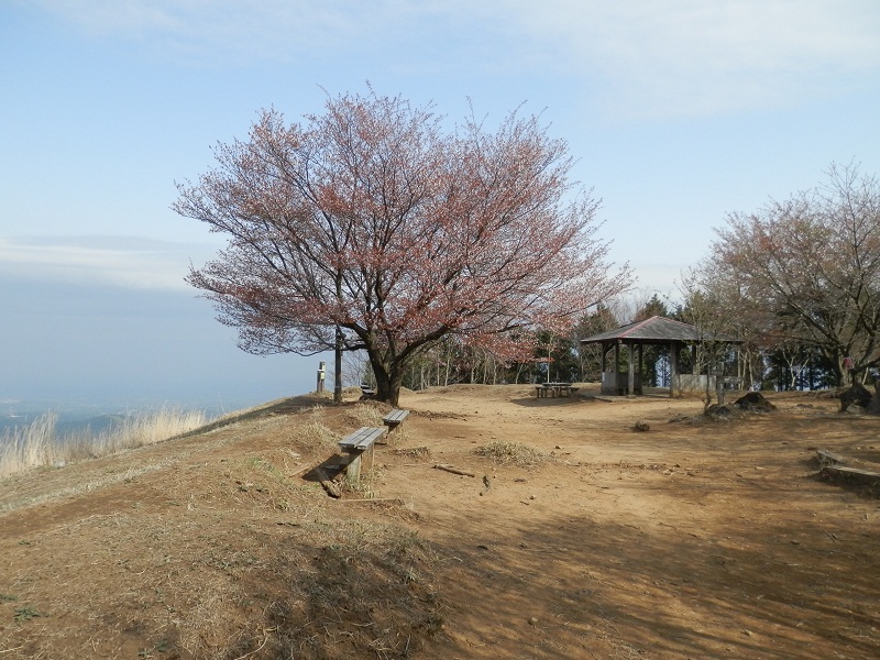 棒ノ折山の山頂には誰もいなかった