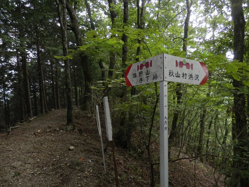 これより寺下峠を目指