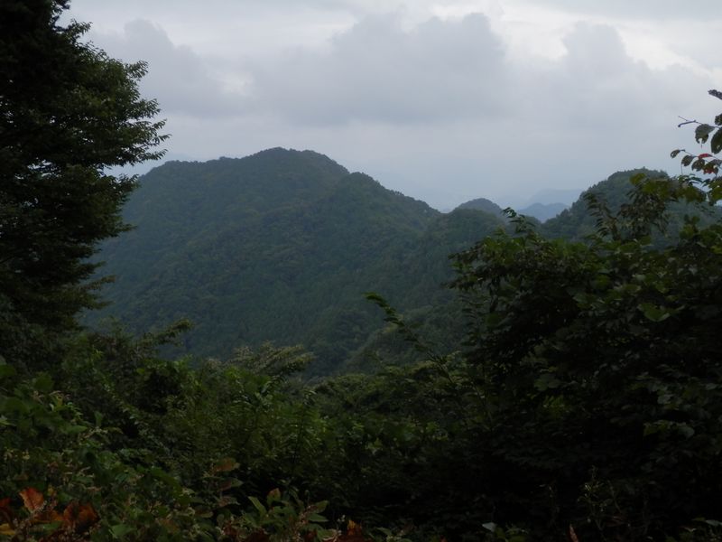 大丸より、高柄山を望む