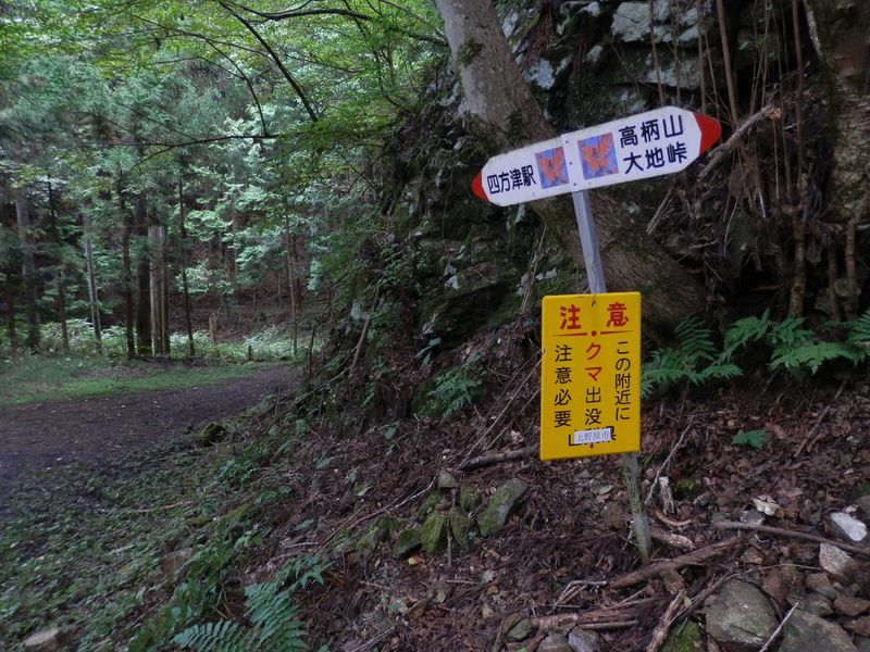 ここで登山道が終わり