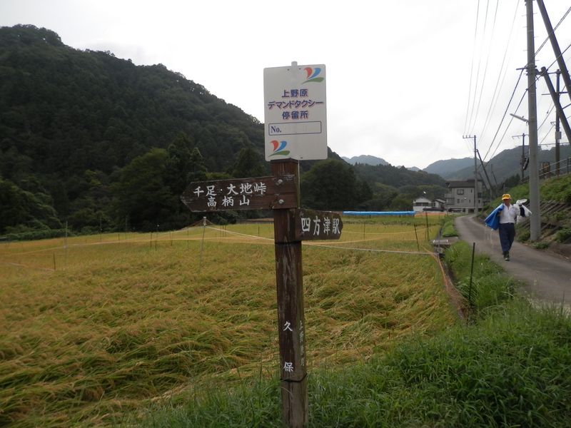 線路沿いに四方津駅まで歩く