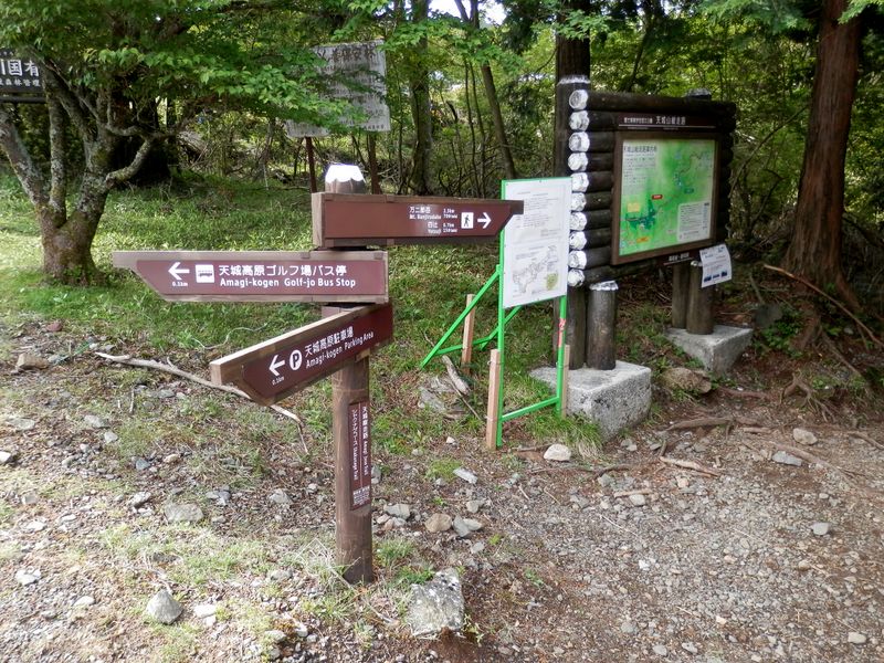 天城山シャクナゲコースの発着点