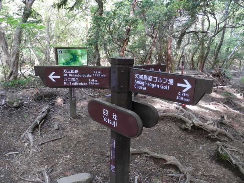 四辻から、時計回りにシャクナゲコースを回った