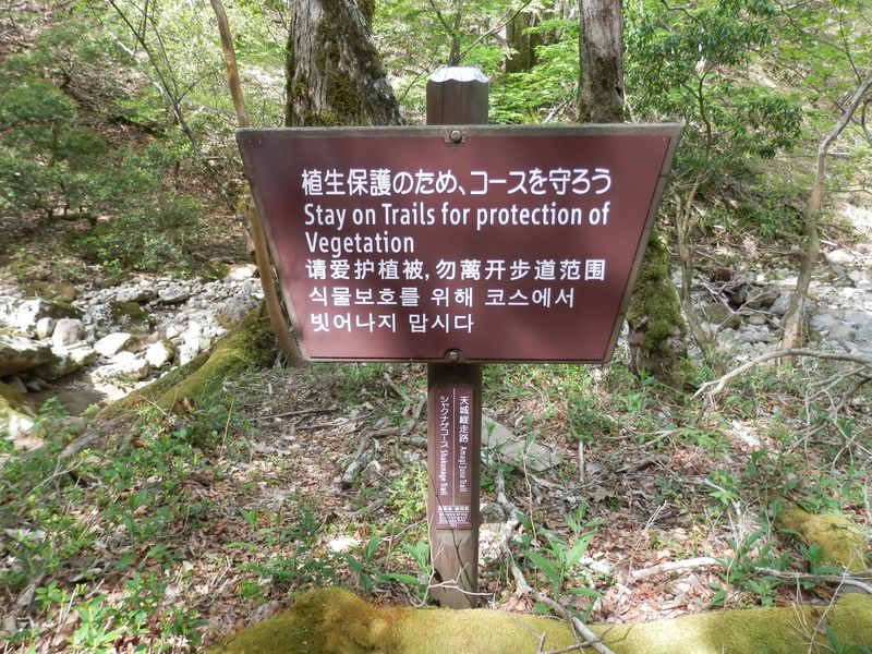 四ヶ国語で書かれている注意書き