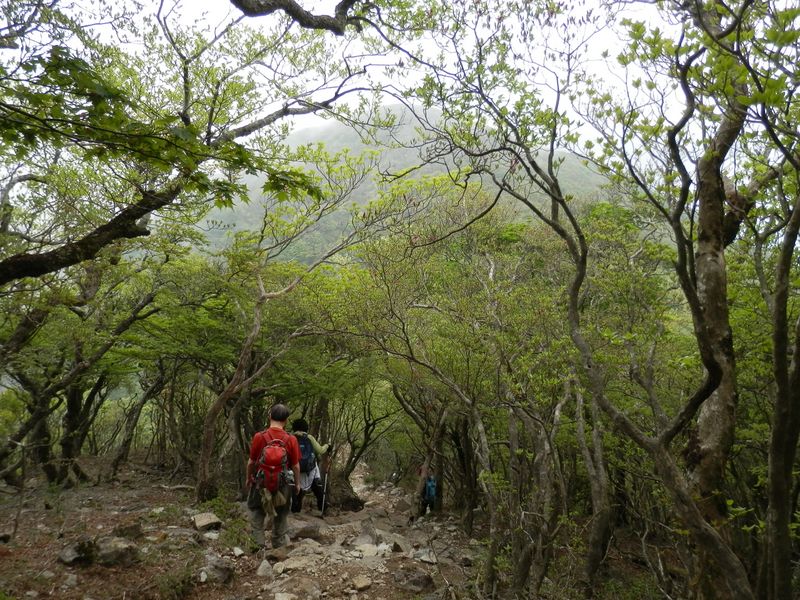 馬の背に向かって、少し下る