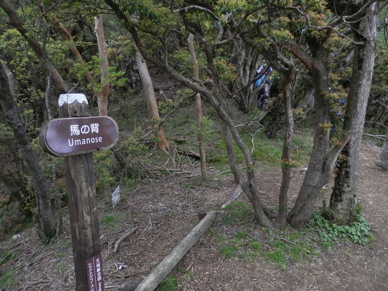 馬の背の頂上を通過