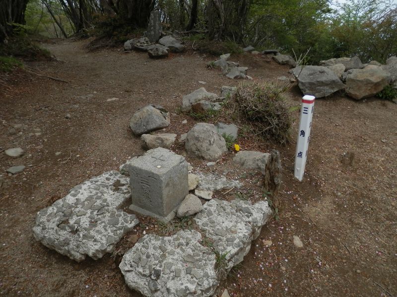 一等三角点とタンポポ