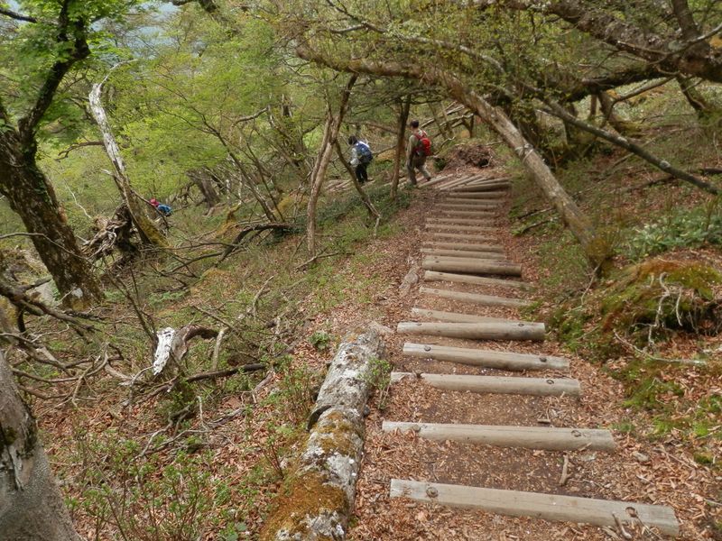 長い長い階段の道