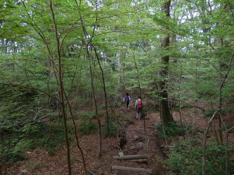やっと、長い階段が終わった