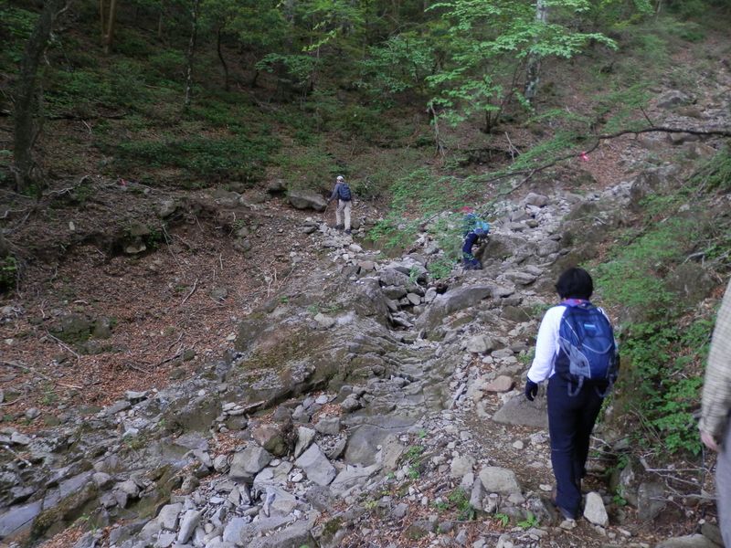 涸れ沢を横断する
