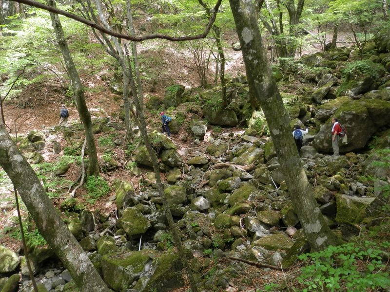 ゴロ岩の多い歩きにくい道