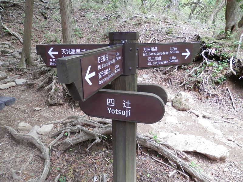 天城山 -- 四辻に戻って来た