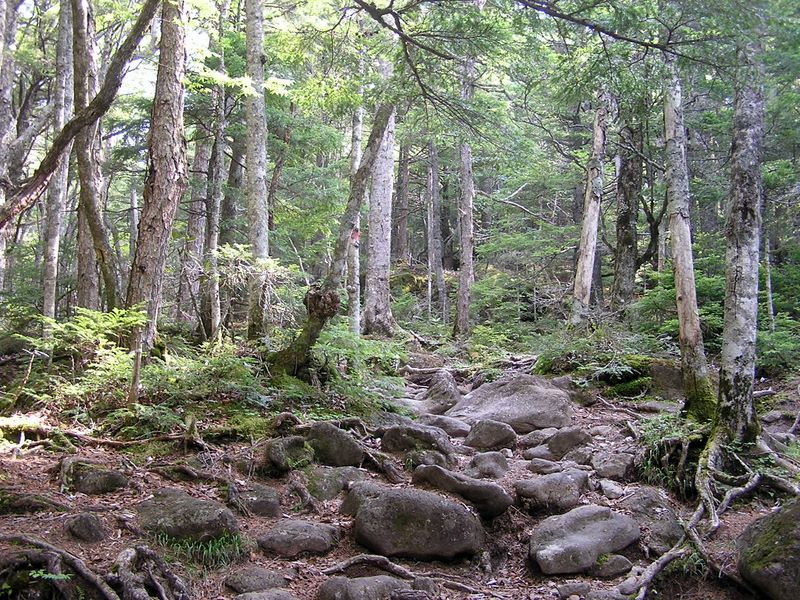 編笠山 -- 公園のような道がずっと続きます