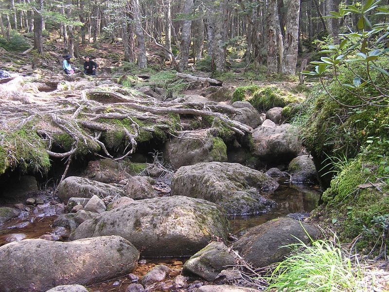 編笠山 -- 押手川