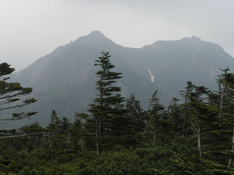 編笠山 -- ギボシと権現岳が顕現