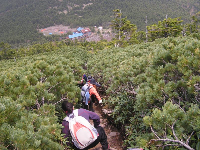 編笠山 -- 青年小屋への急な下り