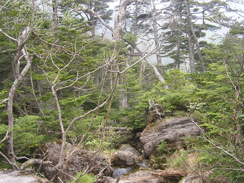 編笠山 -- 水を汲めます
