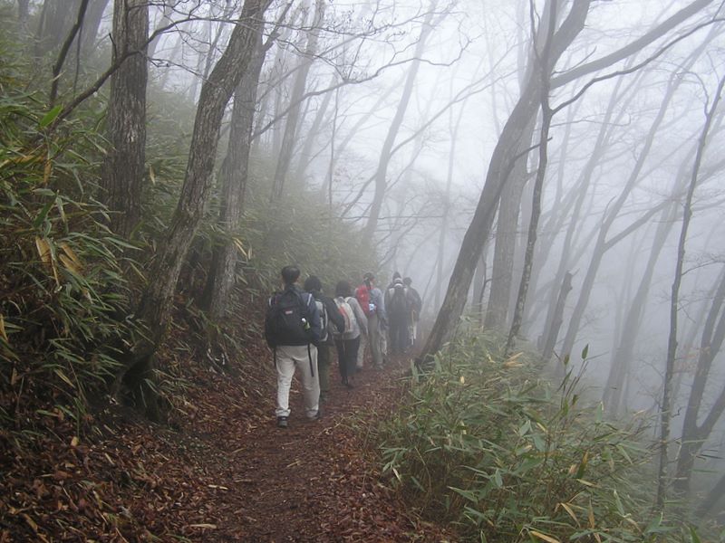 荒船山 -- 長野県と群馬県の境界の尾根道