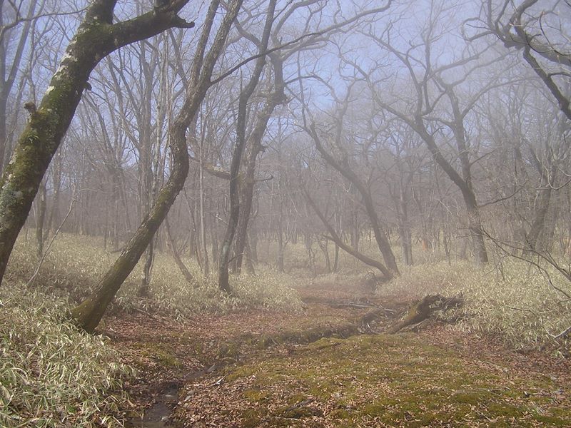 荒船山 -- 山頂は広い台地状