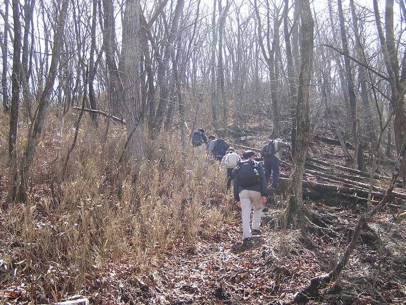 荒船山 -- まもなく山頂