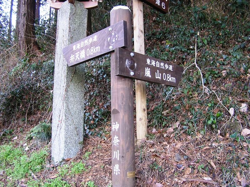 嵐山登山口から山頂までわずか0.8km