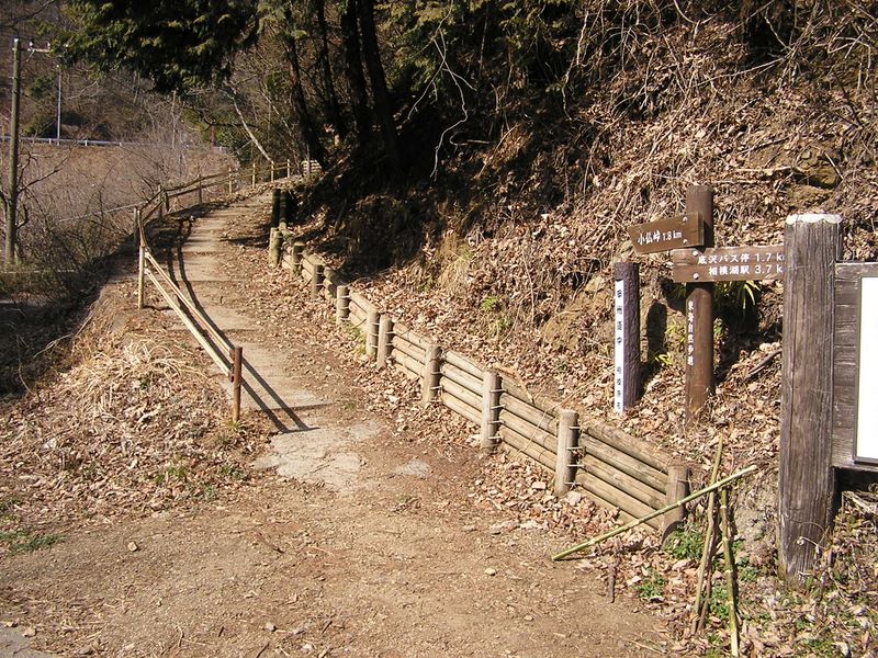 林道を離れて小仏峠に登る