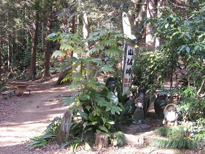 小仏峠になぜタヌキ？