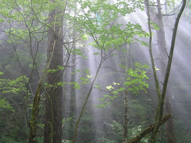 浅間山 -- 谷間に光が差し込む