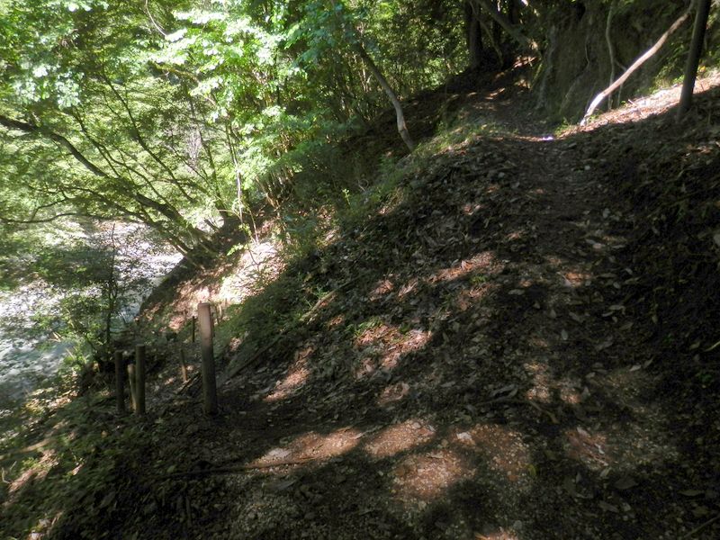 東海自然歩道から左下の大滝沢に下りる