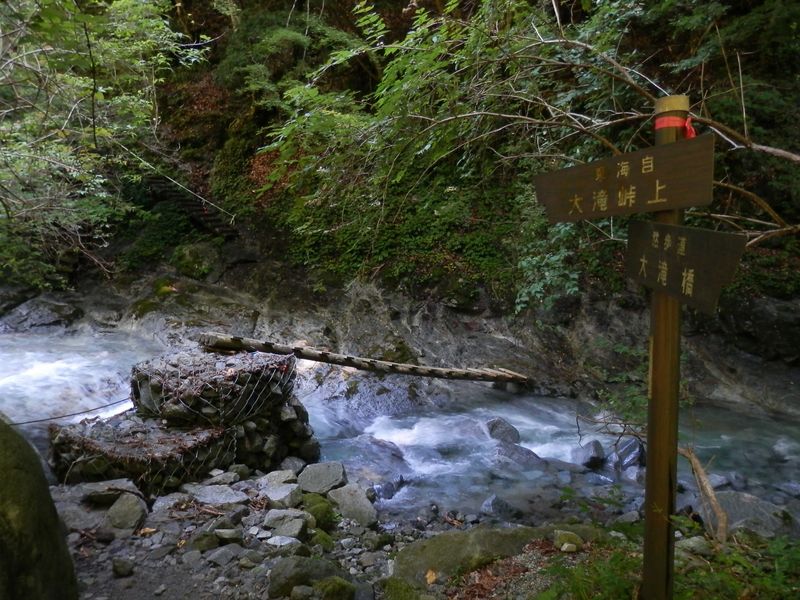 この木橋は大丈夫